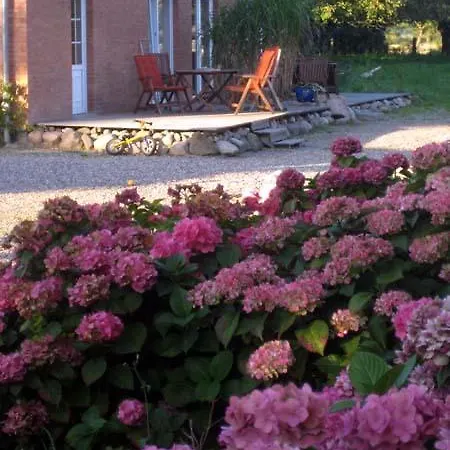 Hof Faasel - Bauernhofurlaub An Der Ostsee Grömitz Extérieur photo