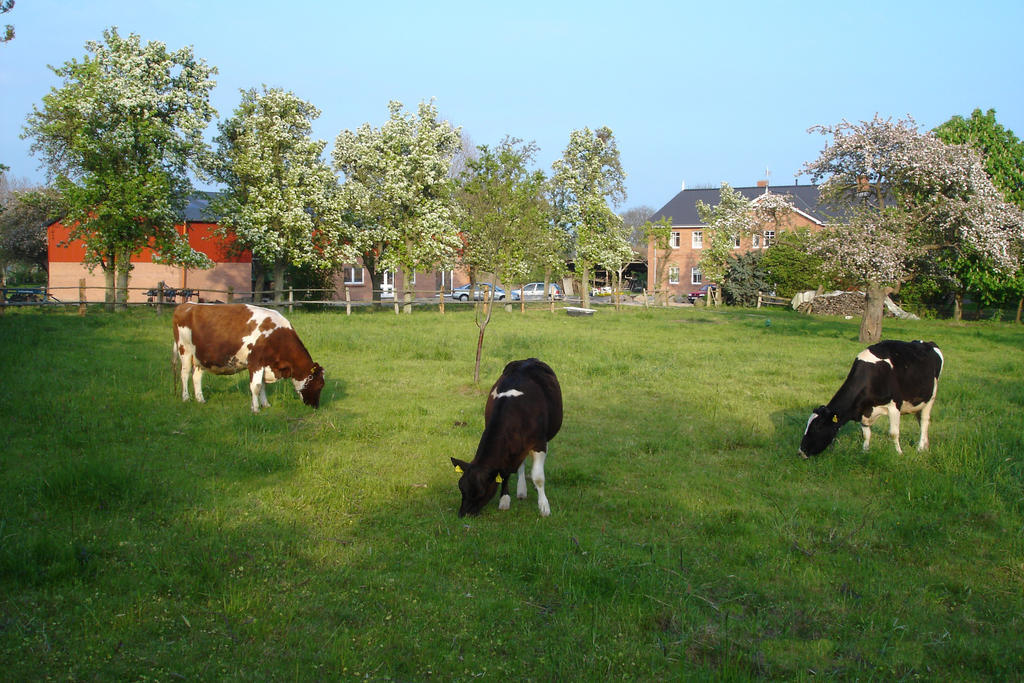 Séjour à la ferme Hof Faasel - Bauernhofurlaub An Der Ostsee Grömitz